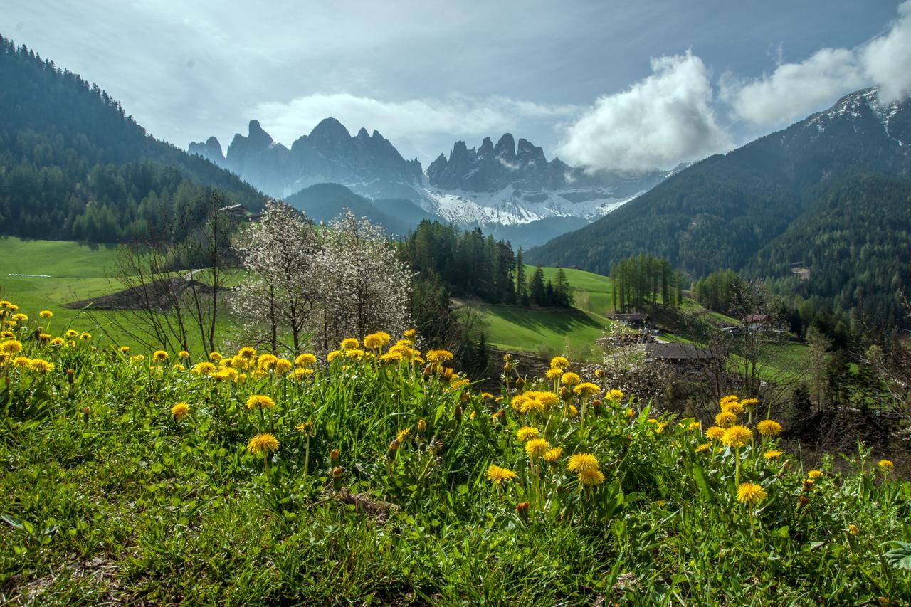 Jaiterhof Daire Funes  Dış mekan fotoğraf